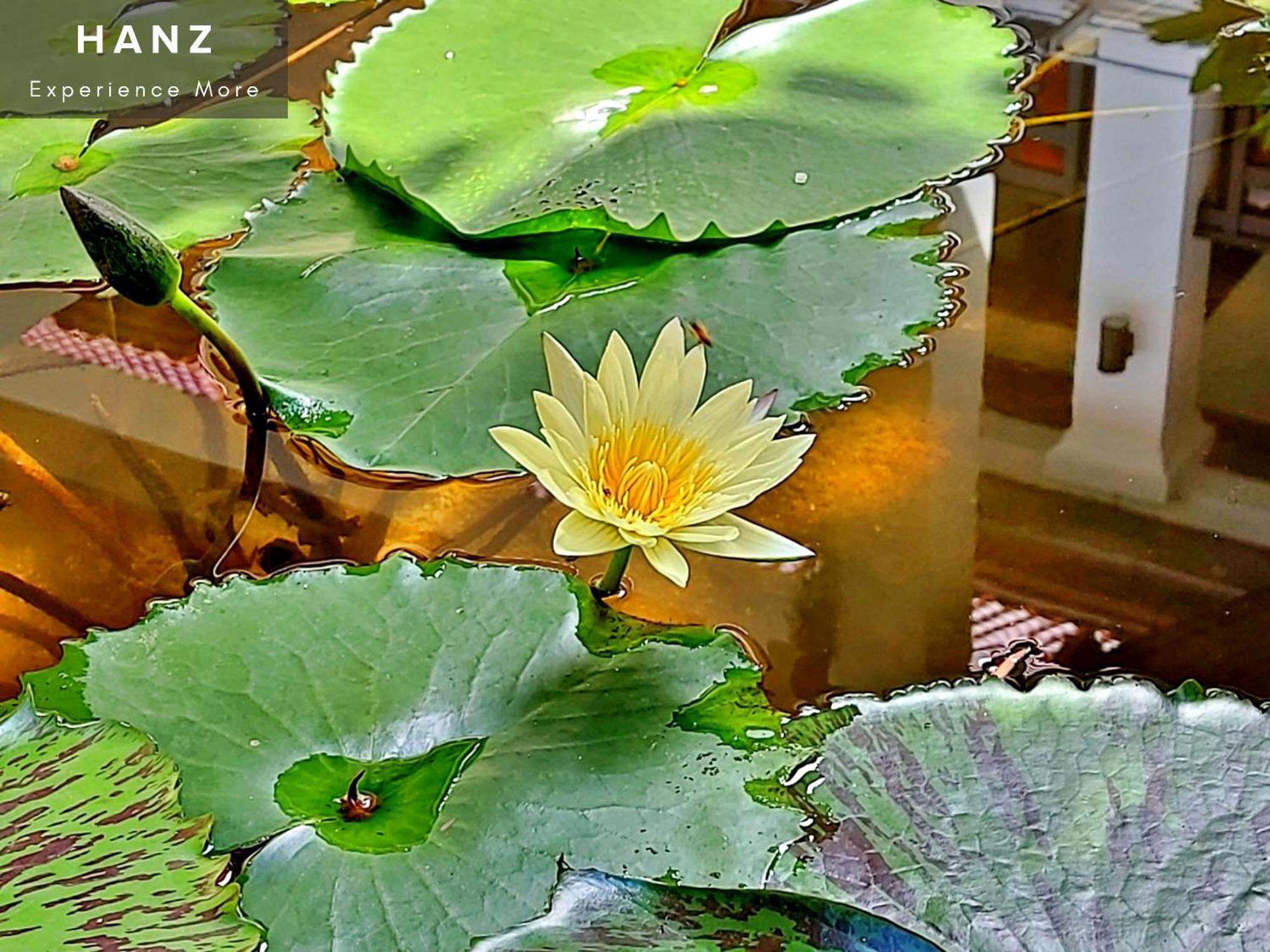 Sunrise Luang Prabang Hotel Exterior photo